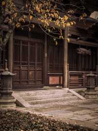 廣富林文化遺址🇨🇳