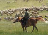 Hulunbuir Grasslands