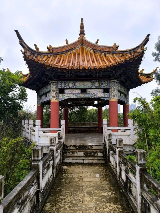 Nanhu Park walk🌳 on a cloudy day ☁️ Nanhu Park walk🌳 on a cloudy day ☁️