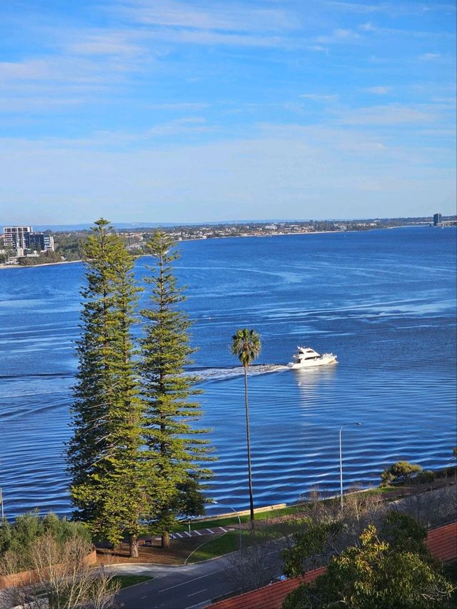 Sunset Vibes & City Views: Picnicking at Kings Park, Perth 🌅✨