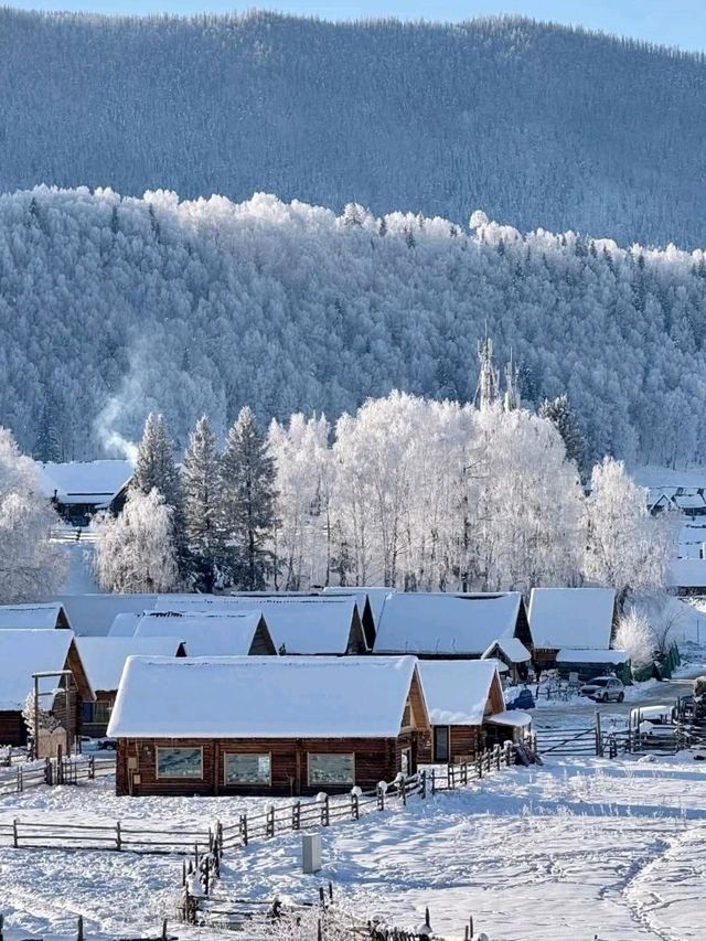 Xinjiang Winter