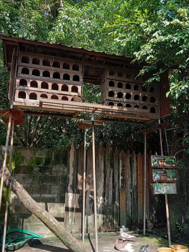 📍 Farm In The City, Kuala Lumpur 방문 후기