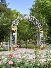 🌹 A City of Roses: Strolling Through Dushanbe