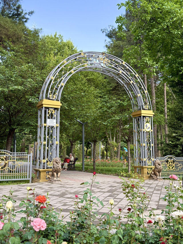 🌹 A City of Roses: Strolling Through Dushanbe