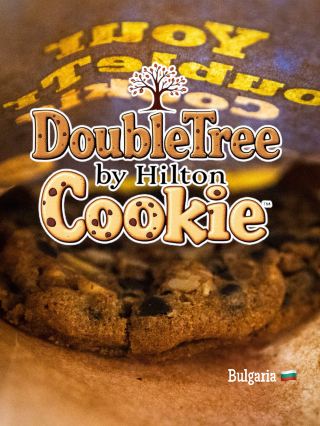🏨 “Warm cookies and a five-star welcome.