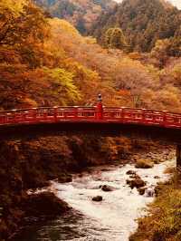 【奥日光】🍁紅葉シーズンに訪れたい絶景スポット
