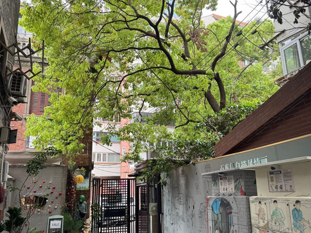 ที่เที่ยวเซี่ยงไฮ้ Tianzifang | 田子坊 🚶😎 สาม 23