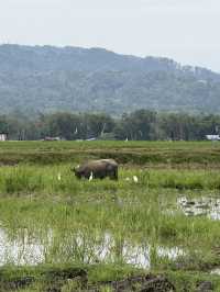 Padang 4 Days Itinerary