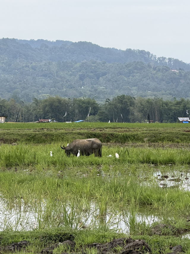 Padang 4 Days Itinerary