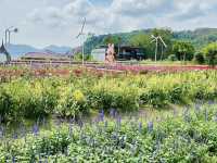 Songkhla Flower Farm