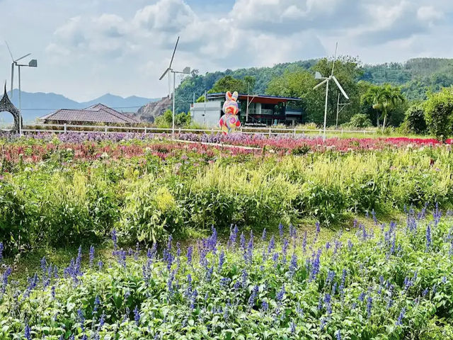 Songkhla Flower Farm