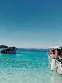 Nature Splash Dive🌊