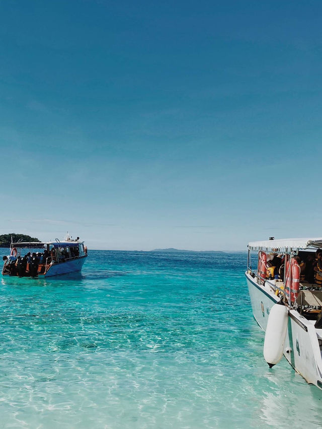 Nature Splash Dive🌊 Nature Splash Dive🌊