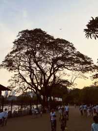 🇱🇰Sri Dalada Maligawa: Where the Sacred Tooth Relic Guards the Soul of Sri Lanka! 🙏