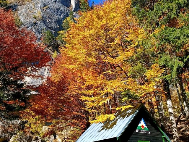 Piatra Craiului National Park