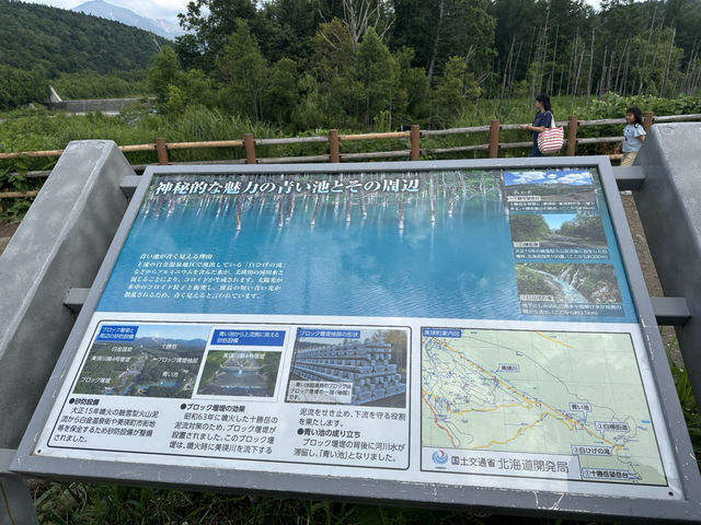 北海道—青池