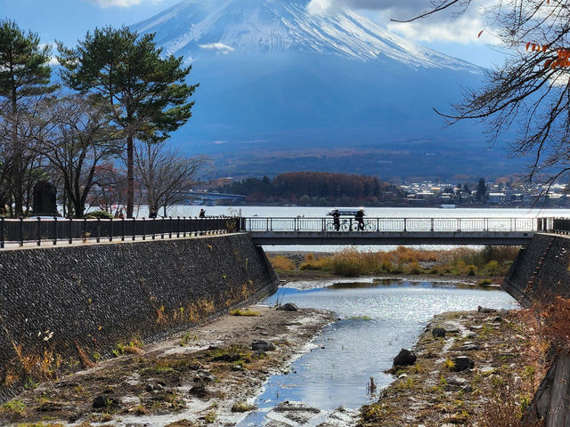 楓葉限定！俯瞰山河靚景  