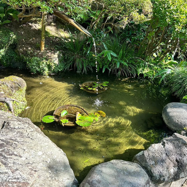 Solo Zen: Finding Peace in Hokokuji's Bamboo Grove