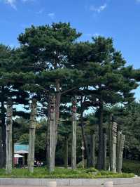 월드컵 공원과 메타세콰이어길🌳
