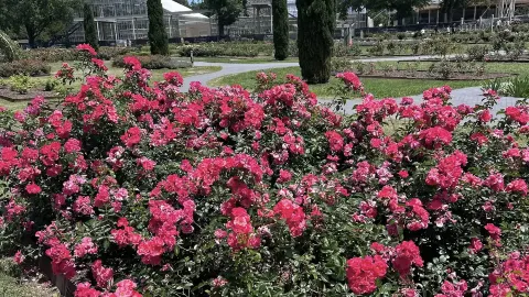 Norfolk Botanical Garden — traveler post in 노퍽