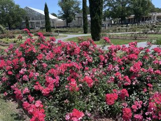 Norfolk Botanical Garden