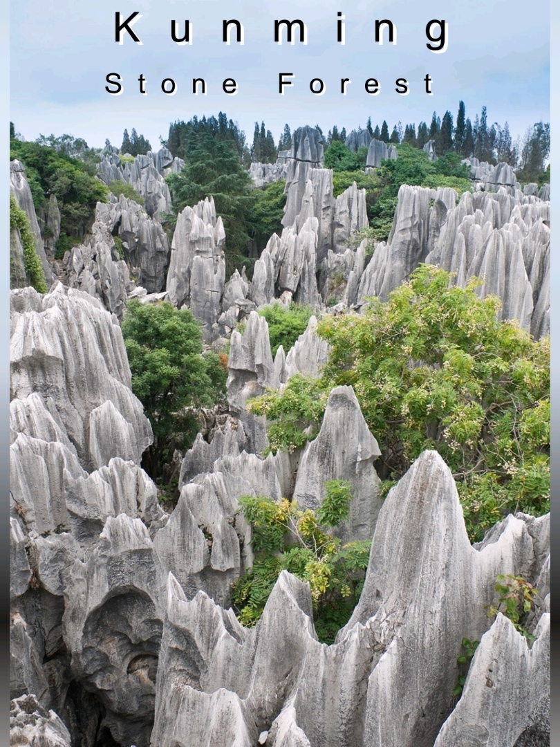 #เที่ยวจีน
🌿 ทริปนี้ฉันได้มาเยือนเมืองคุนหมิง เมืองแห่งฤดูใบไม้ผลินิรันดร์ อากาศเย็นสบายตลอดวัน
 ⛰️ จุดแรกที่ไปคือป่าเสาหินธรรมชาติสุดอลังการที่ดูเหมือนหลุดมาจากเทพนิยาย (Stone Forest – Kunming) 
🌸 จากนั้นเดินเล่นในสวน Green Lake ที่เต็มไปด้วยดอกไม้และเสียงดนตรีพื้นเมือง (Green Lake Park – Kunming) 
🚠 ขึ้นเขา Western Hills เพื่อชมวิวทะเลสาบ Dianchi และเมืองจากมุมสูงสุดโรแมนติก (Western Hills & Dragon Gate – Kunming) 
🕌 แวะไหว้พระที่วัดหยวนทงที่เงียบสงบและมีสถาปัตยกรรมจีนโบราณ (Yuantong Temple – Kunming) 
🛶 ล่องเรือในทะเลสาบ Dianchi พร้อมสายลมเย็น ๆ และวิวภูเขาโอบล้อม (Dianchi Lake – Kunming) 
🦋 ถ้ำ Jiuxiang ทำให้ฉันตื่นตาตื่นใจกับหินงอกหินย้อยและลำธารใต้ดิน (Jiuxiang Scenic Area – Kunming) 
🌈 ขับรถไปถ่ายภาพวิวทุ่งดินแดงที่สวยราวกับภาพวาดธรรมชาติ (Dongchuan Red Land – Kunming) 
🍵 จิบชาผู่เอ๋อร์ในคาเฟ่เล็ก ๆ ที่อบอุ่นและเต็มไปด้วยกลิ่นหอม (Pu’er Tea Café – Kunming) 
🛍️ เดินเล่นในตลาดดอกไม้และนกที่เต็มไปด้วยสีสันและของน่ารัก (Flowers & Birds Market – Kunming) 
🏘️ ปิดท้ายวันที่ย่านเมืองเก่า เดินเคียงกันท่ามกลางบ้านไม้และแสงไฟอุ่น ๆ (Kunming Old Street – Kunming) 
🎁 ถ้าใครกำลังมองหาทริปธรรมชาติผสมวัฒนธรรม คุนหมิงคือคำตอบเลย! มาเที่ยวด้วยกันนะ
📌 Hashtags:
#เที่ยวKunming #StoneForest #GreenLakePark #DianchiLake #TripcomFeatured #UnseenChina #YunnanAdventure #DongchuanRedLand #PuErTeaMoments #KunmingOldStreet
