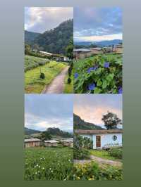 ที่พักโฮมสเตย์ เชียงใหม่ชื่อ   เจอเขา โฮมสเตย์