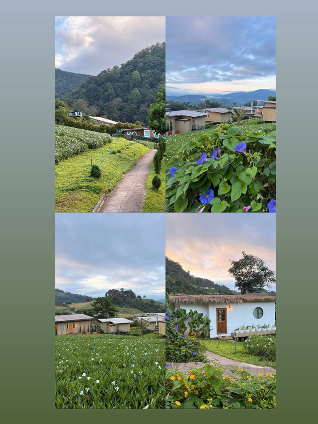 ที่พักโฮมสเตย์ เชียงใหม่ชื่อ   เจอเขา โฮมสเตย์