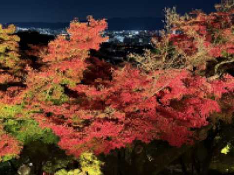 บรรยากาศใบไม้เปลี่ยนสีที่นารา เกียวโต และโอซาก้า