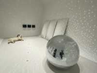 來青森、八戶，千萬不可錯過的「十和田市當代美術館」