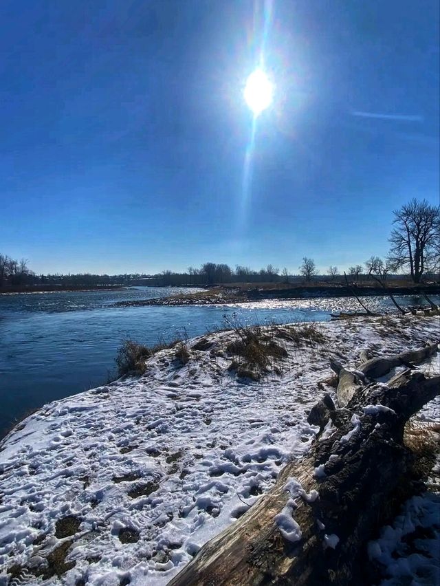 🌲 Fish Creek Provincial Park – Calgary’s Wild Urban Wilderness 🌲 Fish Creek Provincial Park – Calgary’s Wild Urban Wilderness