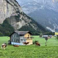 🏔️✨ GRINDELWALD ALPINE ESCAPE — SWITZERLAND’S STORYBOOK VILLAGE 🇨🇭❄️ 