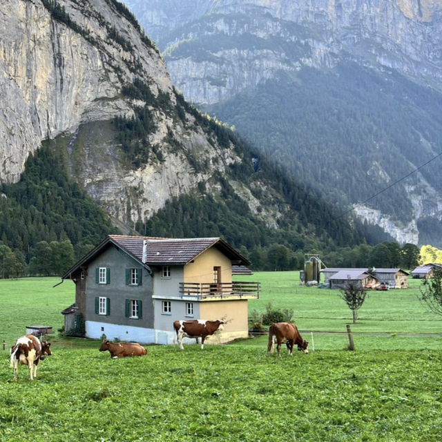 🏔️✨ GRINDELWALD ALPINE ESCAPE — SWITZERLAND’S STORYBOOK VILLAGE 🇨🇭❄️ 