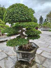 Temple Views Only🏯 Linh Ung Pagoda