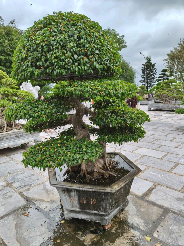 Temple Views Only🏯 Linh Ung Pagoda Temple Views Only🏯 Linh Ung Pagoda