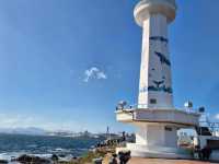 멋진 경관과 함께 커피 한잔 가능!