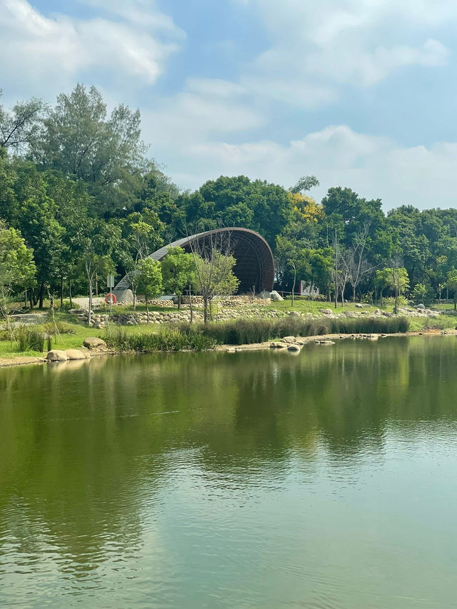 大湳森林公園 大湳森林公園
