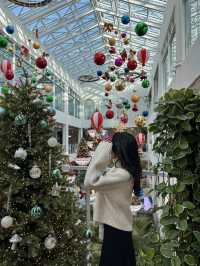 🎄 겨울빛이 스며드는 대형 카페, 포레스트아웃팅스 용인 🎄