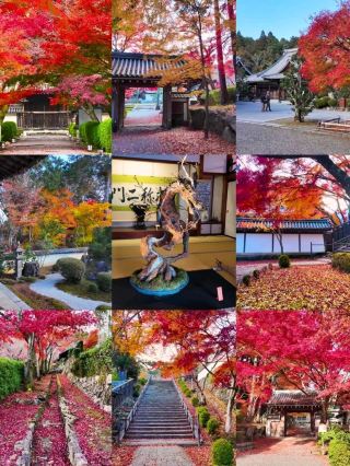 시가현의 숨겨진 보석들 ✨ 전국시대 무장 미쓰히데의 고대 사찰을 방문해 보세요 🏯