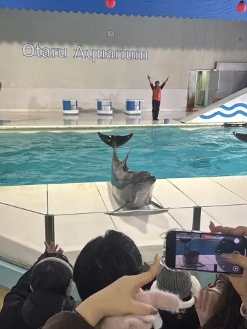 在海與雪之間，看見北海道最真實的樣子｜小樽水族館