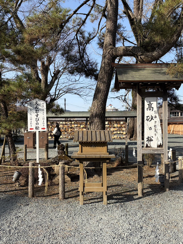 【阿蘇観光】阿蘇一のパワースポット!歴史深い阿蘇神社