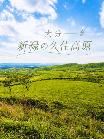 久住花公園：四季折々の花が咲き誇り、絵のような風景 | Trip.com 竹田市