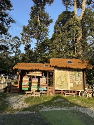 탐 팜 믈라카(Tam Farm Melaka): 쿠알라룸푸르 근교 최고의 두리안 글램핑 스팟!
