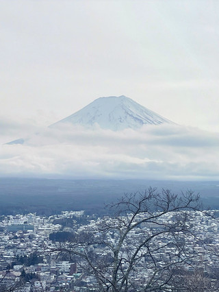 新倉山浅間公園から望む富士山。
