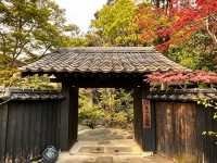 🌞8‑9月限定｜熊本三日兩夜超Chill快閃行