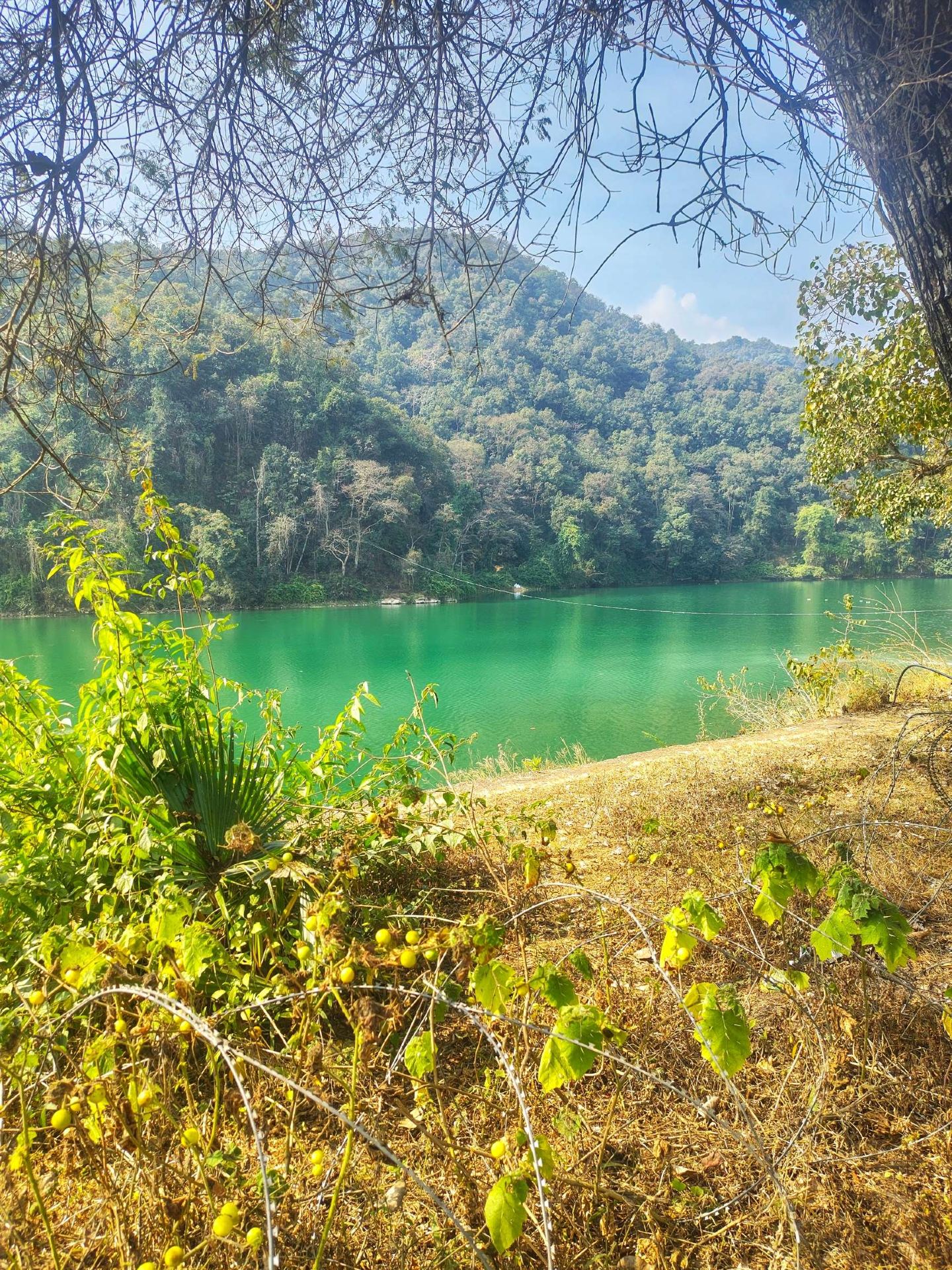 🌅 Phewa Lake — Where Mountains Meet the Water 🏔️💙