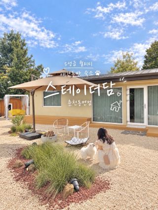 ที่พักสุนัขเข้าพักได้ระดับ 5 ดาว Stay the Dam สาขาชุนชอน ทงมยอน 🐶✨