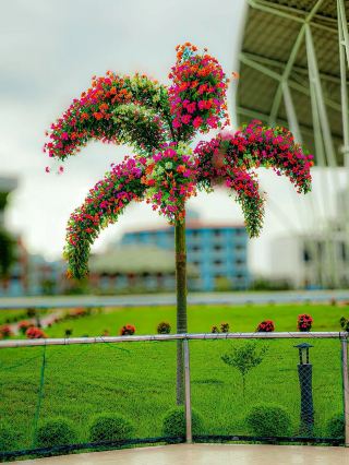 バングラデシュの自然美：深緑の絶景と鮮やかな花々に心奪われる旅。