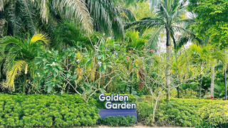 City Break vs Nature Escape: Finding the Best of Both Worlds at Gardens by the Bay, Singapore