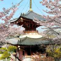 治愈神殿